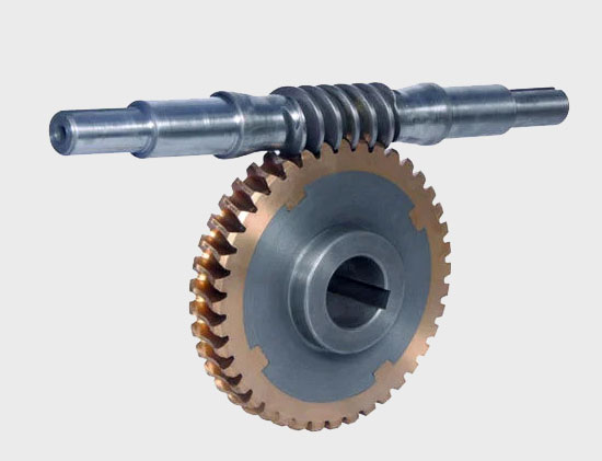 Worm Shaft Gear